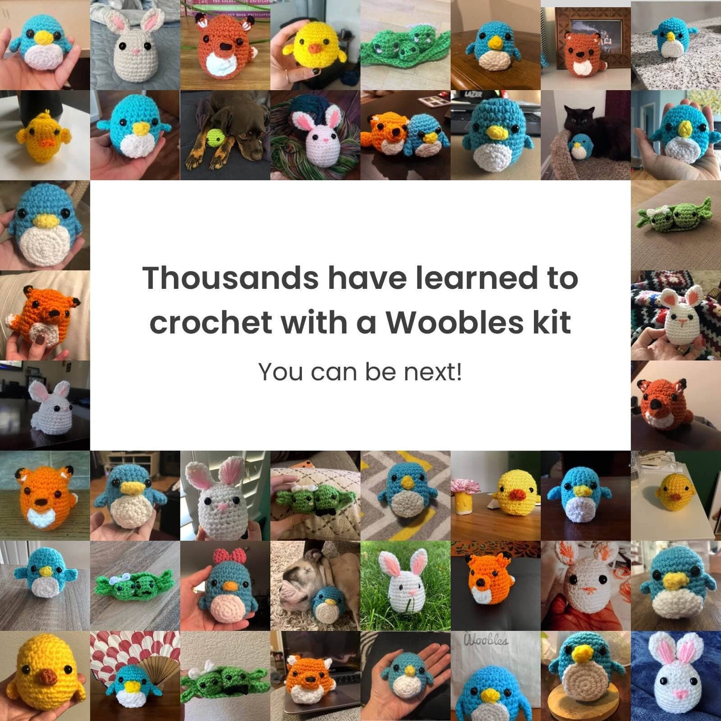 The Woobles - Fred the Dinosaur Beginner Crochet Kit