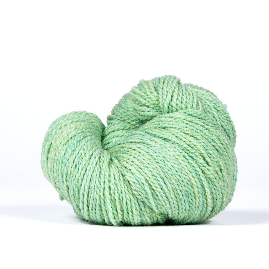 Scout - Kelbourne Woolens